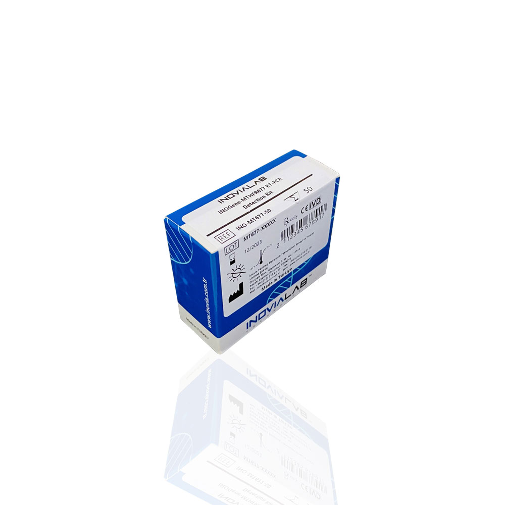 INOGene-MTHFR 677 RT-PCR Tespit Kiti